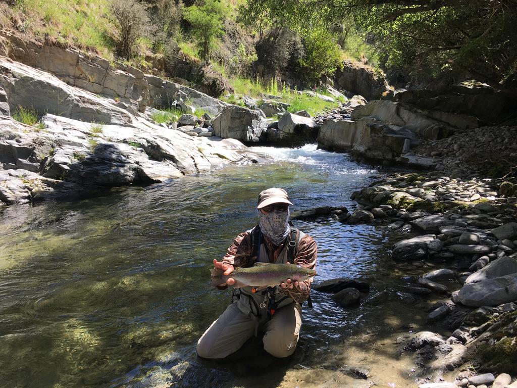 Glendeer Lodge Timaru Εξωτερικό φωτογραφία